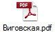 Виговская.pdf