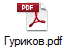 Гуриков.pdf