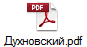 Духновский.pdf