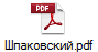 Шпаковский.pdf