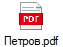 Петров.pdf
