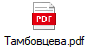 Тамбовцева.pdf