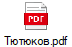 Тютюков.pdf