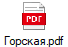 Горская.pdf