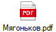 Мягоньков.pdf