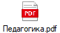 Педагогика.pdf