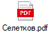 Селетков.pdf