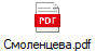 Смоленцева.pdf