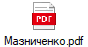 Мазниченко.pdf