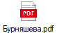 Бурняшева.pdf