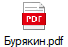 Бурякин.pdf