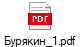Бурякин_1.pdf