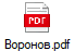 Воронов.pdf