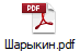 Шарыкин.pdf