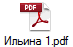 Ильина 1.pdf