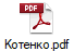 Котенко.pdf