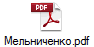 Мельниченко.pdf
