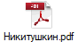 Никитушкин.pdf