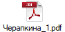 Черапкина_1.pdf