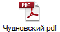 Чудновский.pdf