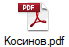 Косинов.pdf