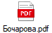 Бочарова.pdf