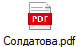 Солдатова.pdf