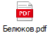 Белюков.pdf