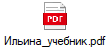 Ильина_учебник.pdf