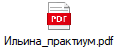 Ильина_практиум.pdf