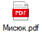 Мисюк.pdf