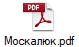 Москалюк.pdf
