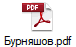 Бурняшов.pdf