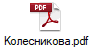 Колесникова.pdf