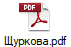 Щуркова.pdf