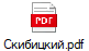 Скибицкий.pdf