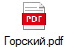 Горский.pdf