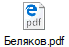 Беляков.pdf