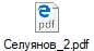 Селуянов_2.pdf