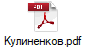 Кулиненков.pdf
