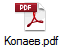 Копаев.pdf