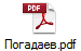 Погадаев.pdf