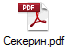 Секерин.pdf