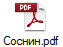 Соснин.pdf