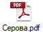 Серова.pdf