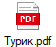 Турик.pdf