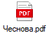 Чеснова.pdf