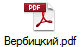Вербицкий.pdf