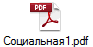 Социальная1.pdf