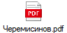 Черемисинов.pdf